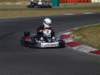 elio038_small.jpg