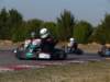 elio222_small.jpg