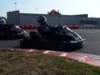 elio247_small.jpg