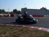 elio251_small.jpg
