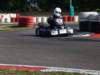 elio299_small.jpg