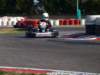 elio306_small.jpg