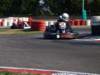 elio307_small.jpg