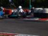 elio317_small.jpg