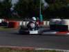 elio318_small.jpg