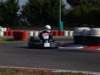 elio319_small.jpg