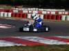 elio363_small.jpg