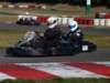 elio368_small.jpg