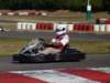 elio379_small.jpg
