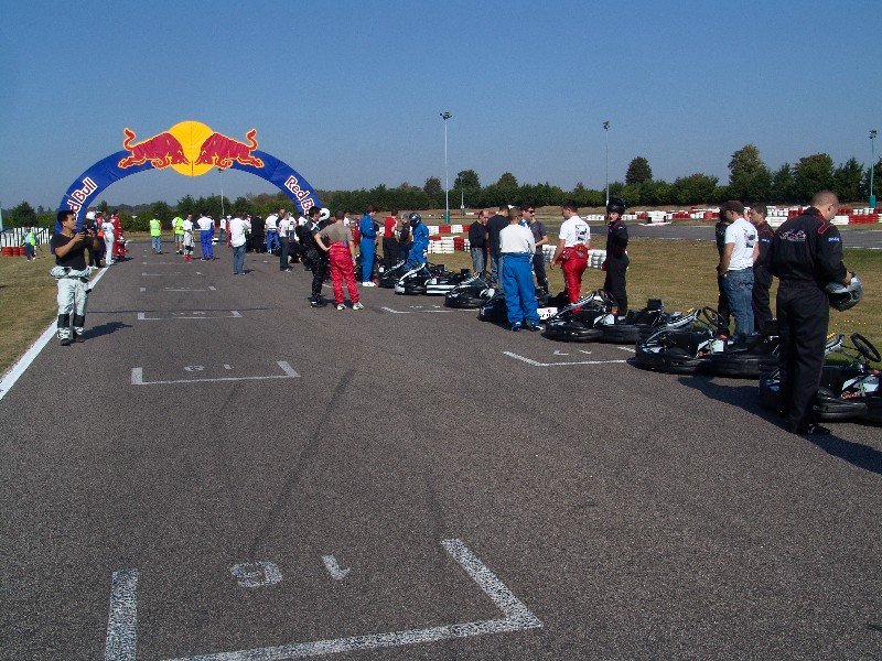 elio410.jpg