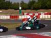 elio458_small.jpg