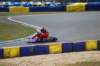 dsc_0430_small.jpg
