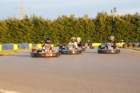 img_8223_small.jpg
