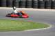 img_0521_small.jpg