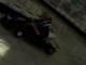 _3781_small.jpg
