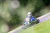 img_3668_small.jpg