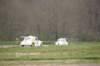 dsc04283_small.jpg
