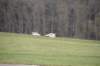 dsc04305_small.jpg