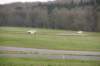 dsc04306_small.jpg