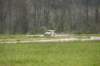 dsc04334_small.jpg