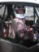 p4120626_small.jpg
